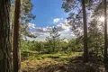 Квартира 808 м² Nowy Dwor, Польша