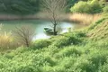 Parcelas , Georgia