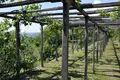 Villa 7 zimmer 240 m² Stratoniki, Griechenland