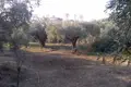 Atterrir 1 chambre  Nauplie, Grèce