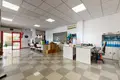 Propiedad comercial 340 m² en Marbella, Španjolska