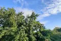 Дом 60 м² Кстовский муниципальный округ, Россия
