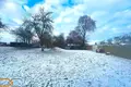 Haus 41 m² Boksycki sielski saviet, Belarus