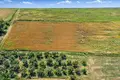 Grundstück 7 225 m² Nea Triglia, Griechenland