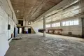 Коммерческое помещение 828 м² Витебск, Беларусь