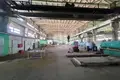 Zakład produkcyjny 4 619 m² w Krzyczew, Białoruś