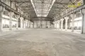 Zakład produkcyjny 12 000 m² Nowołukoml, Białoruś