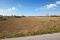 Land 10 000 m² Nea Triglia, Greece