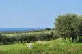 Land  Kastelir, Croatia