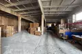 Warehouse 2 378 m² in Sluck, Belarus