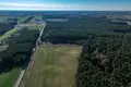 Atterrir 575 m² Powidz, Pologne
