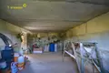 Maison 179 m² Rakauski sielski Saviet, Bélarus