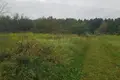 Działki  Scomyslicki sielski Saviet, Białoruś