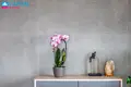 Apartamento 4 habitaciones 91 m² Klaipeda, Lituania