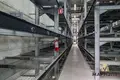 Warehouse 4 rooms 629 m² in Minsk, Belarus