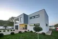 Villa 4 chambres 300 m² Radanovici, Monténégro