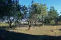 Cottage 5 bedrooms 380 m² Plagiari, Greece