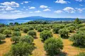 Land 9 312 m² Neos Marmaras, Greece