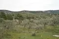 Atterrir 1 chambre  Skala Rachoniou, Grèce