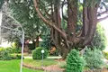 7-Schlafzimmer-Villa 580 m² Lomazzo, Italien