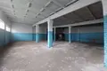 Nieruchomości komercyjne 500 m² w Olaine, Łotwa