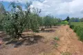 Grundstück 2 800 m² Nea Flogita, Griechenland