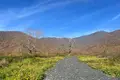 Земельные участки  Кварели, Грузия