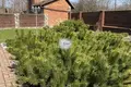 Haus 200 m² Zelenogradsky District, Russland