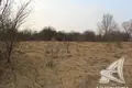 Land  Carnaucycki sielski Saviet, Belarus