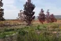 Land  Khoni, Georgia