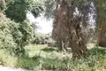 Działki 1 pokój  Ano Korakiana, Grecja