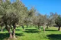 Atterrir  Opcina Marcana, Croatie