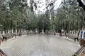 Apartment for rent in Saburtalo