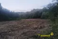 Land  Dziamidavicki sielski Saviet, Belarus