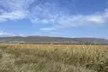 Działki 1 930 m² Mtskheta, Gruzja