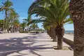 Mieszkanie 3 pokoi 50 m² w San Pedro del Pinatar, Hiszpania