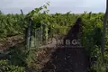 Land 50 000 m² Tbilisi, Georgia