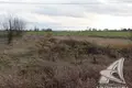 Land  Carnaucycki sielski Saviet, Belarus