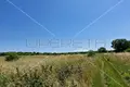 Grundstück 1 250 m² Opcina Liznjan, Kroatien