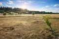 Land 603 m² Nea Triglia, Greece