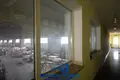 Warehouse 3 924 m² in Kalodziscanski sielski Saviet, Belarus