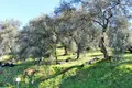 Atterrir 1 chambre 3 750 m² Períthia, Grèce