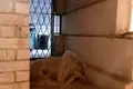 Haus 196 m² Rudnianski sielski Saviet, Belarus