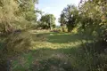 Atterrir , Monténégro