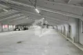 Manufacture 3 rooms 600 m² in Aronava Slabada, Belarus