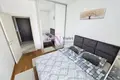1 bedroom apartment 46 m², Montenegro