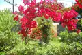 Cottage 5 bedrooms 220 m² Municipality of Ermionida, Greece