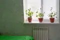 Haus 4 Schlafzimmer 169 m² Orscha, Belarus