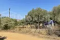 Parcelas 917 m² Nea Roda, Grecia