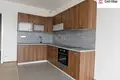 1 bedroom apartment 45 m² Capital City of Prague, Czech Republic
